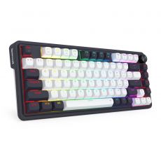 Mouse & Keyboards
