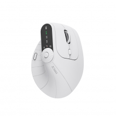 Mouse & Keyboards