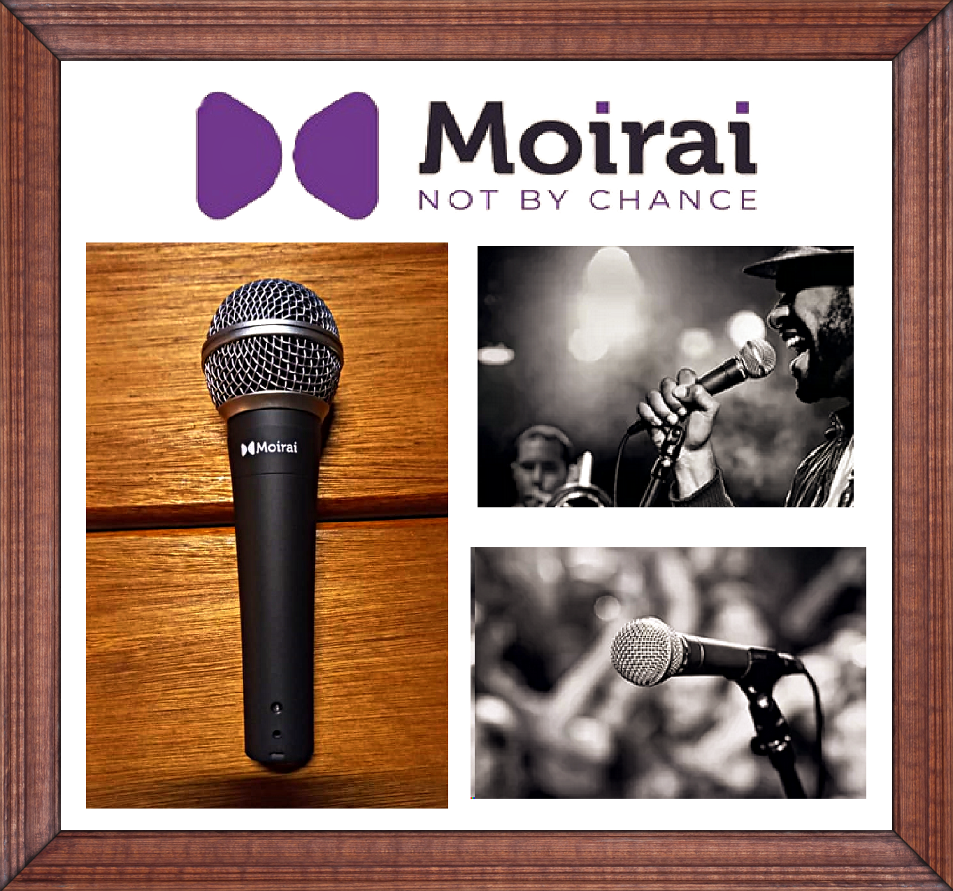 Moirai Dynamic Wired Mic 