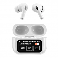 Earphones