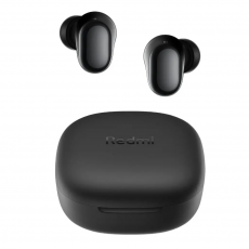 Earphones