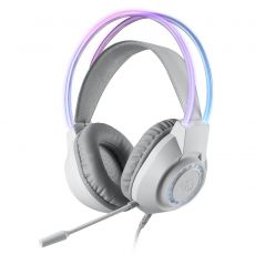 Earphones