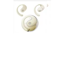 Earphones